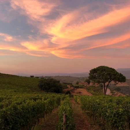 Вілла Quinta Dos Espinheiros Provesende Екстер'єр фото