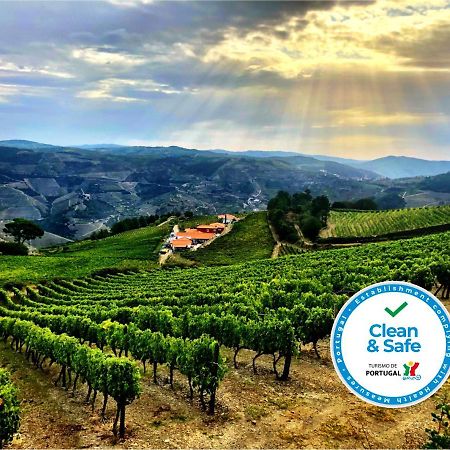 Вілла Quinta Dos Espinheiros Provesende Екстер'єр фото