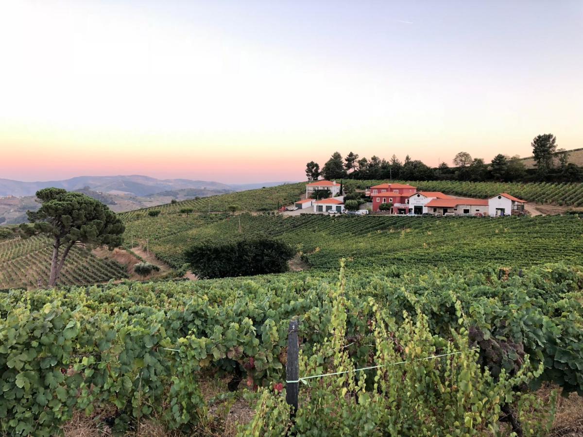 Вілла Quinta Dos Espinheiros Provesende Екстер'єр фото