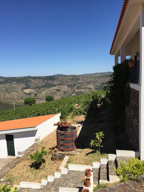 Вілла Quinta Dos Espinheiros Provesende Номер фото