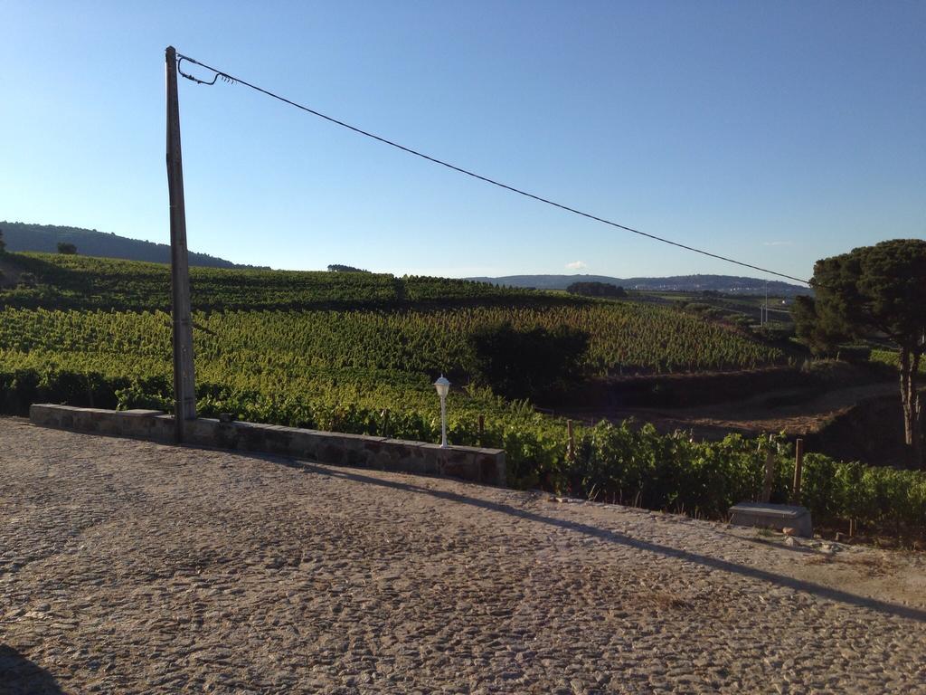 Вілла Quinta Dos Espinheiros Provesende Номер фото