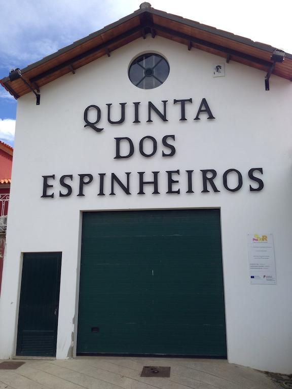 Вілла Quinta Dos Espinheiros Provesende Номер фото