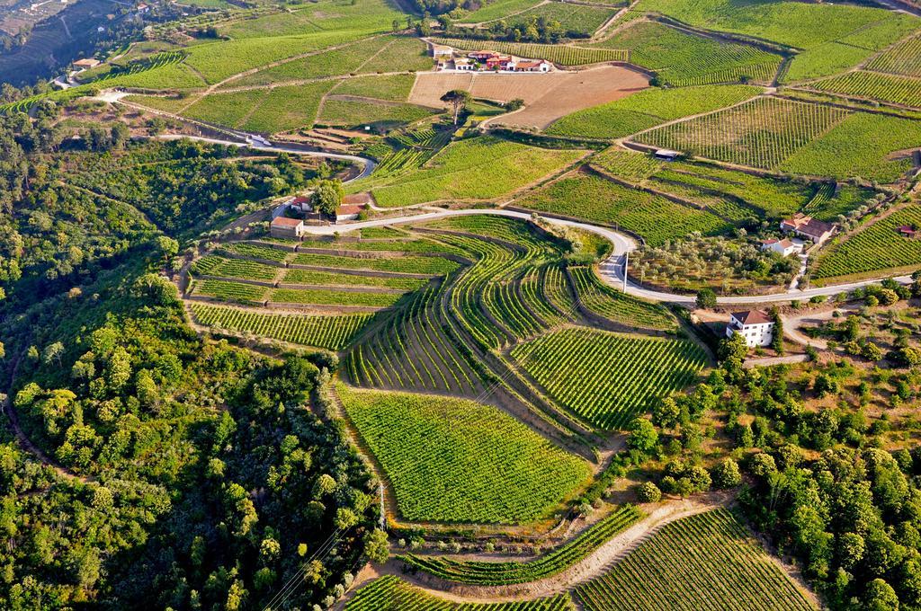 Вілла Quinta Dos Espinheiros Provesende Екстер'єр фото