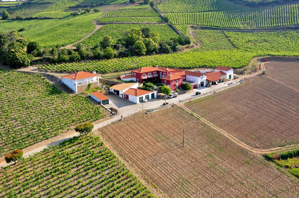 Вілла Quinta Dos Espinheiros Provesende Екстер'єр фото