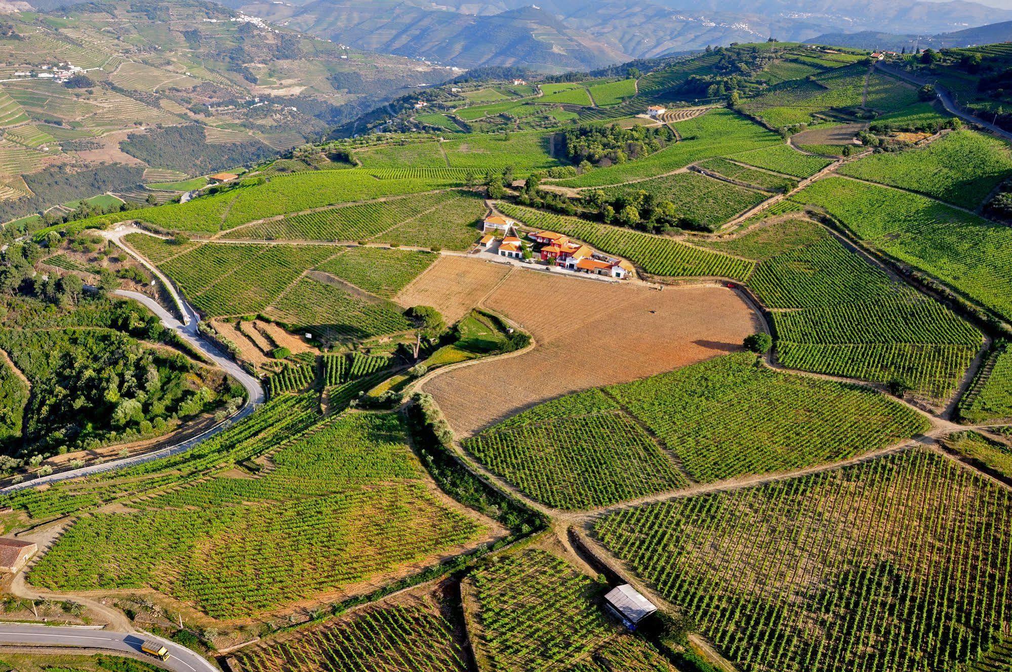 Вілла Quinta Dos Espinheiros Provesende Екстер'єр фото