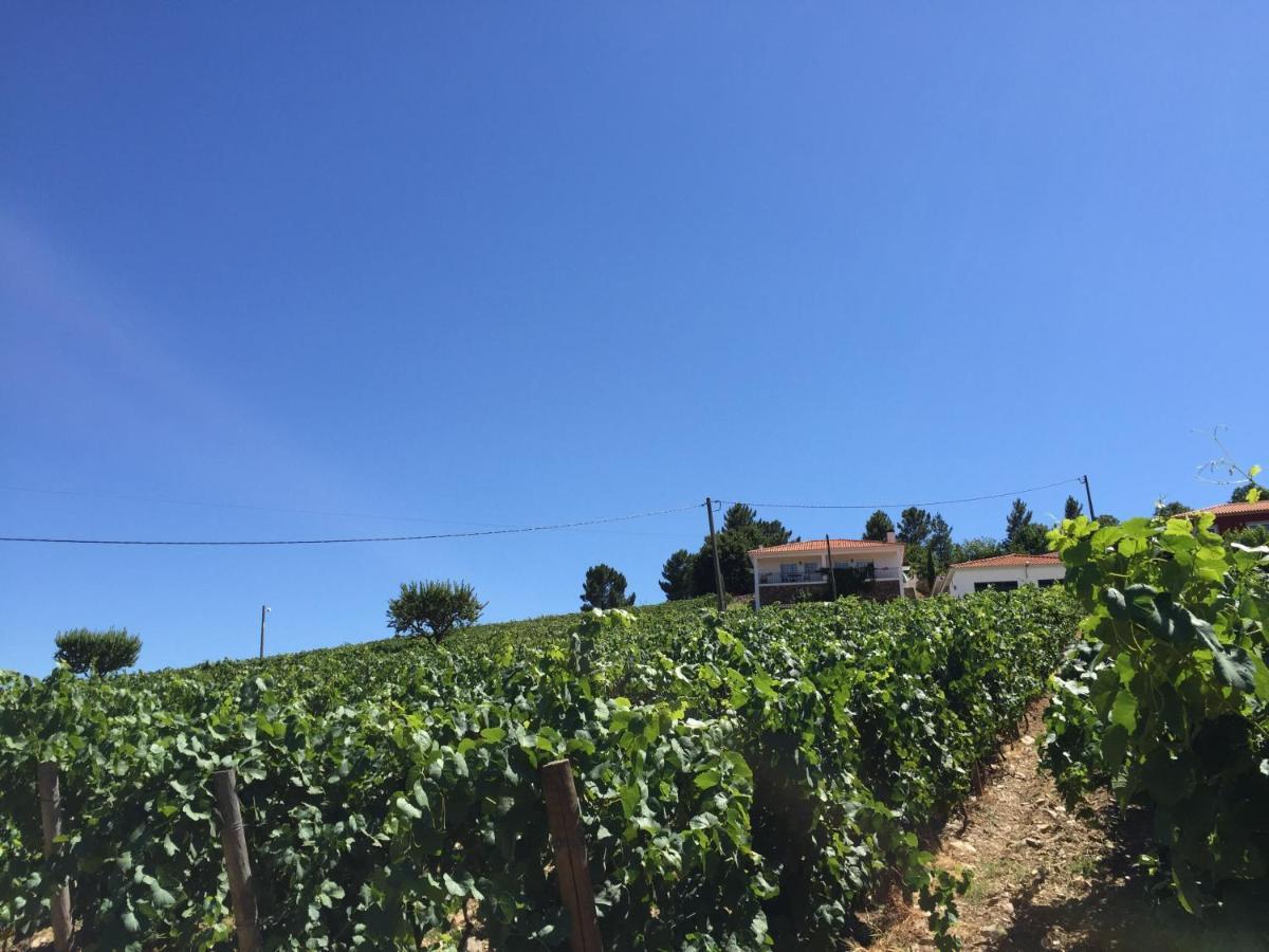 Вілла Quinta Dos Espinheiros Provesende Номер фото