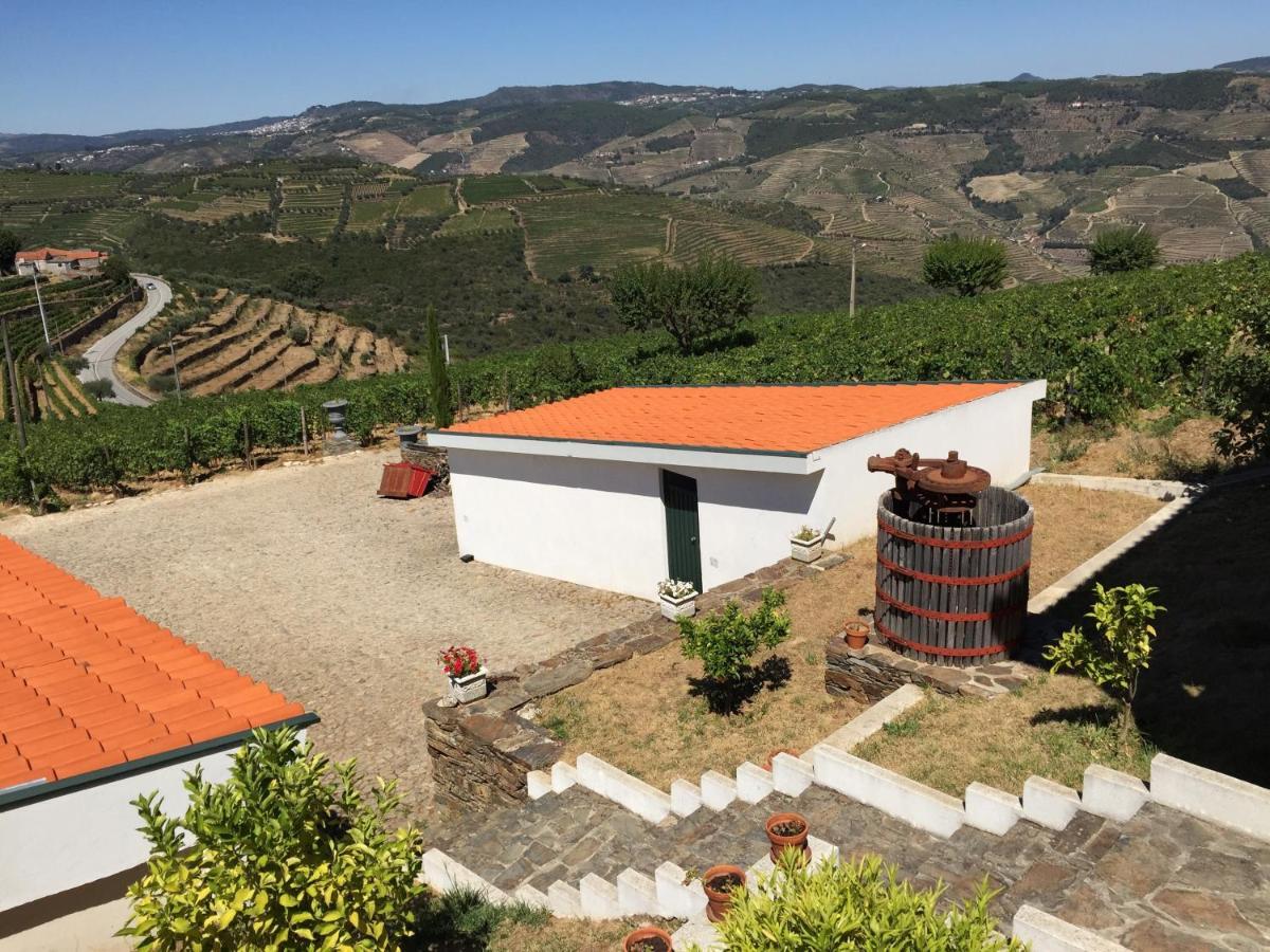 Вілла Quinta Dos Espinheiros Provesende Номер фото