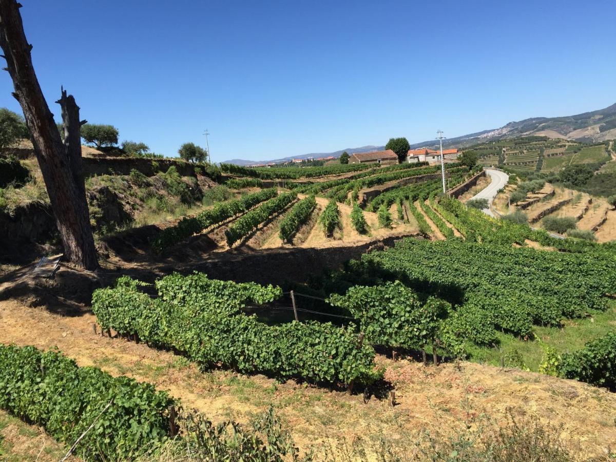 Вілла Quinta Dos Espinheiros Provesende Номер фото