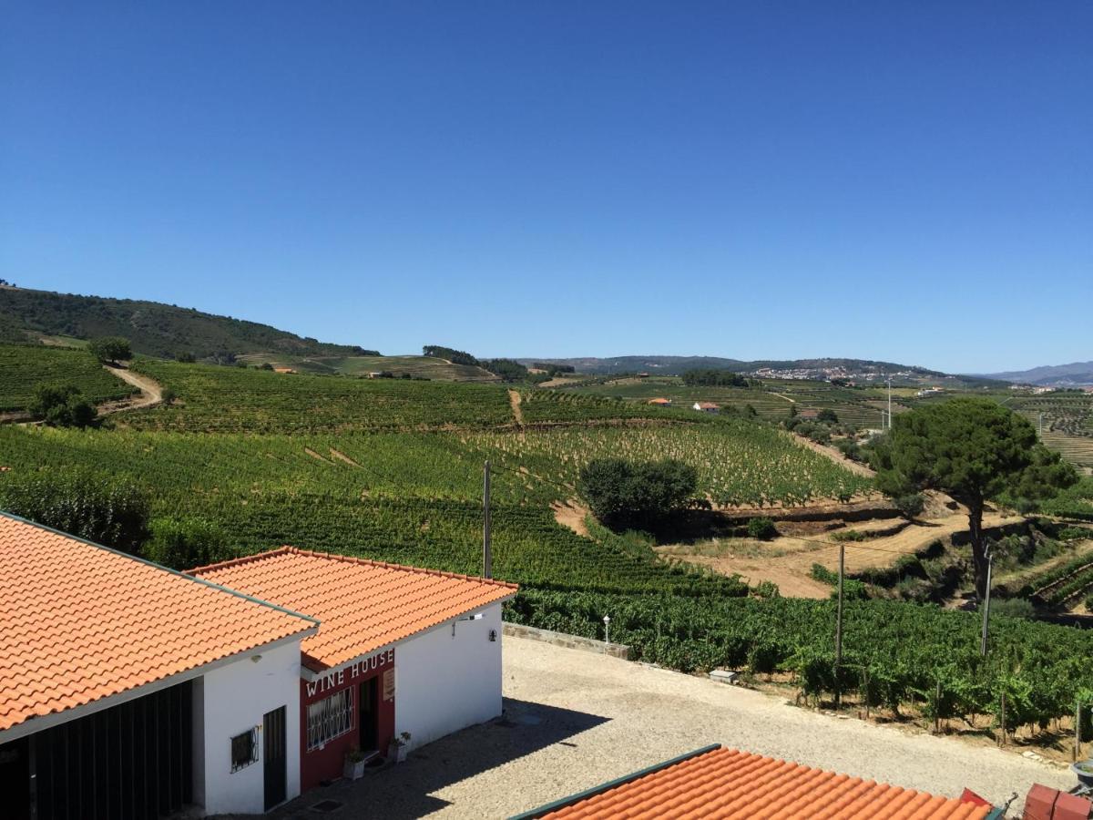 Вілла Quinta Dos Espinheiros Provesende Номер фото