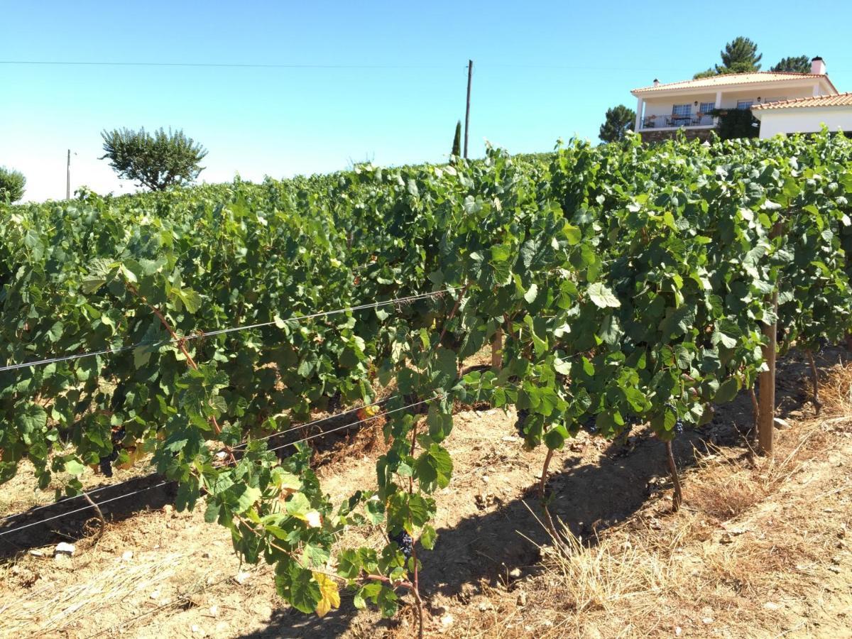 Вілла Quinta Dos Espinheiros Provesende Номер фото
