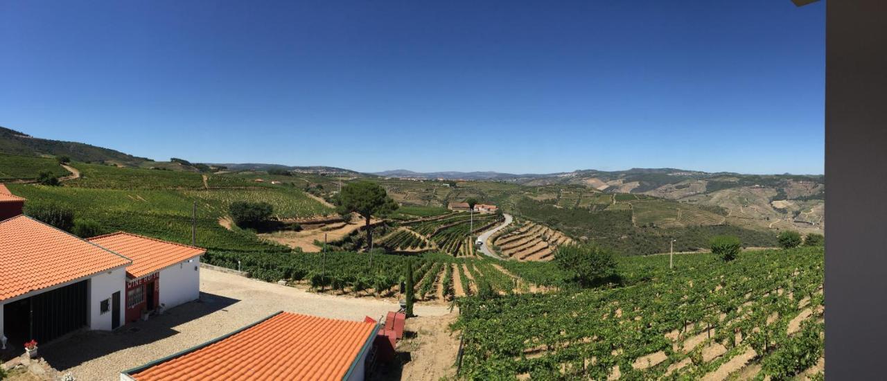 Вілла Quinta Dos Espinheiros Provesende Номер фото