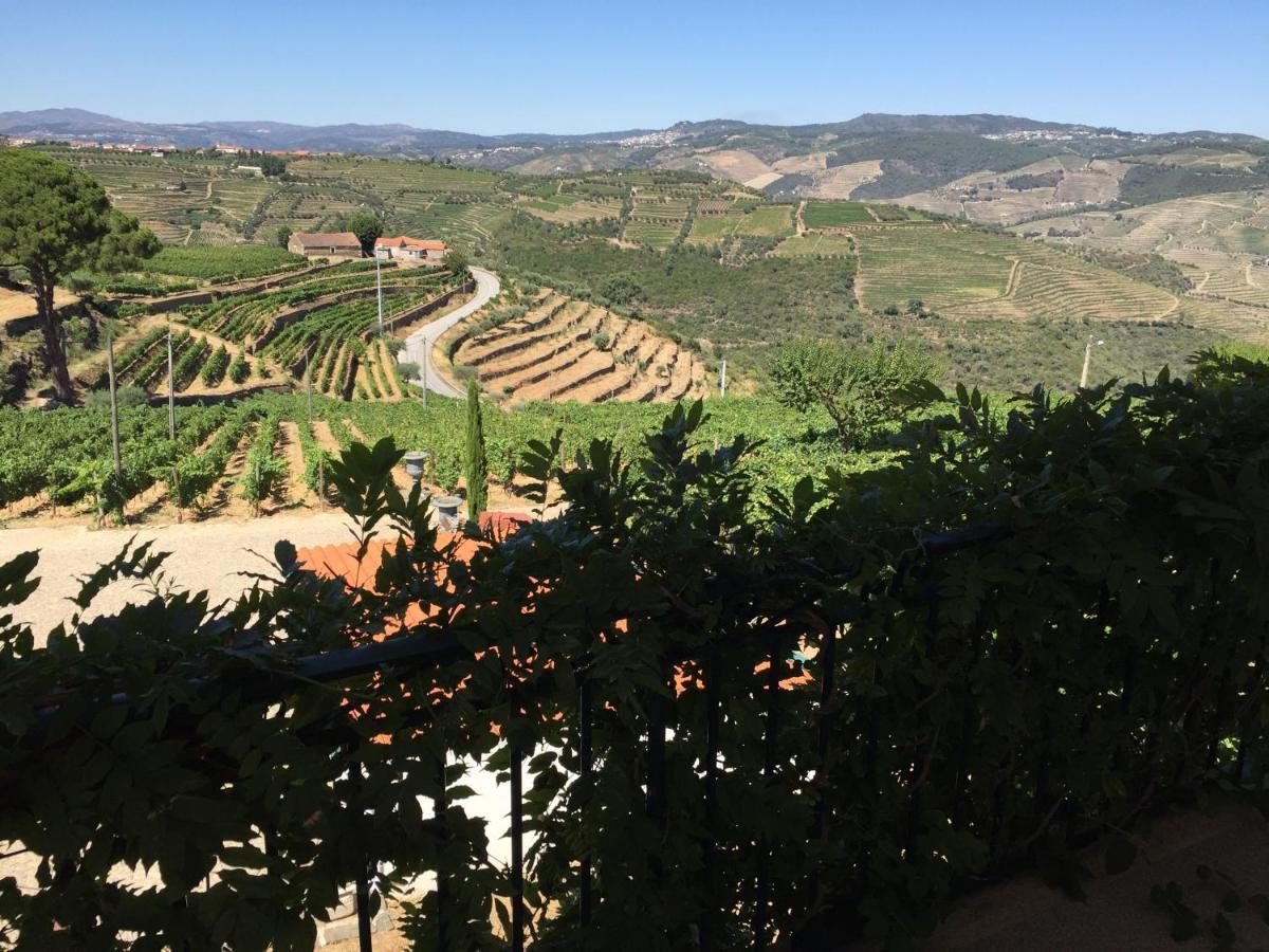 Вілла Quinta Dos Espinheiros Provesende Номер фото