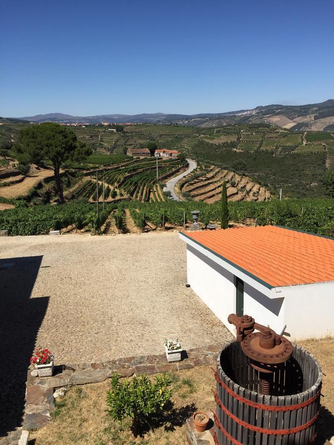 Вілла Quinta Dos Espinheiros Provesende Номер фото